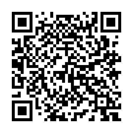QR code for P291BH