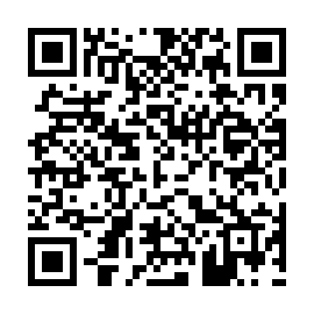 QR code for P291IR