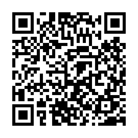 QR code for P294GT