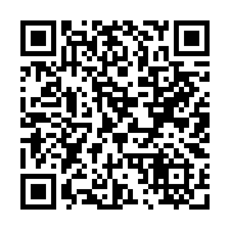 QR code for P296KI