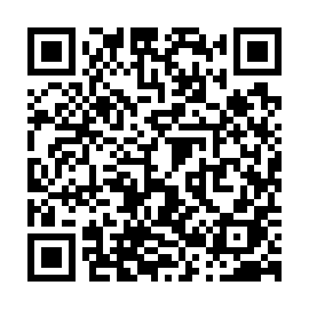 QR code for P2970H