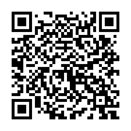 QR code for P29FVM