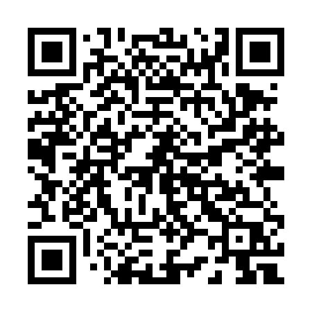 QR code for P29TEP