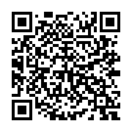 QR code for P29UGE