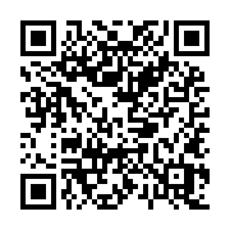 QR code for P29YLT