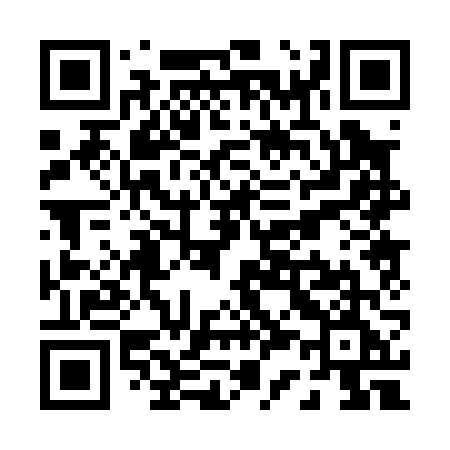 QR code for P3006E
