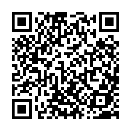 QR code for P301IJ