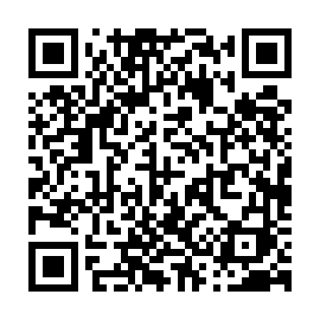 QR code for P305FI