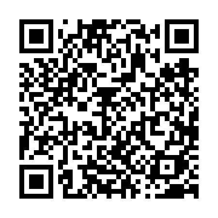 QR code for P306UI