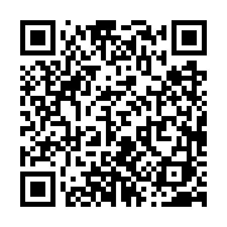 QR code for P307VI