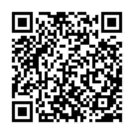 QR code for P309HH