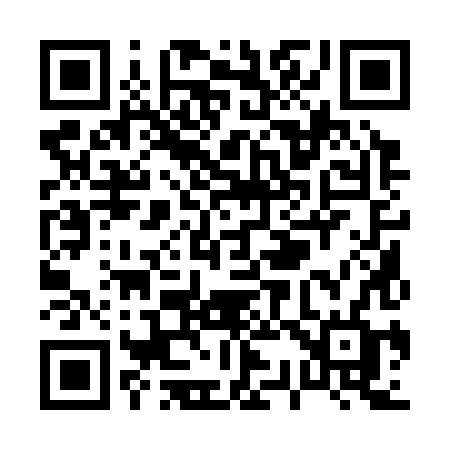 QR code for P3138F