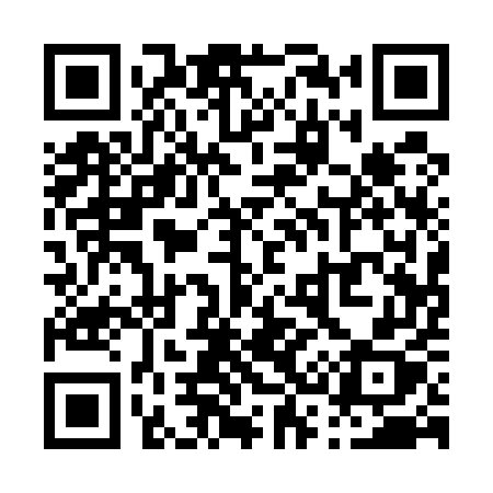 QR code for P3155X