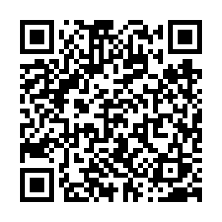 QR code for P316SS