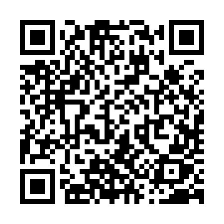 QR code for P3295Z
