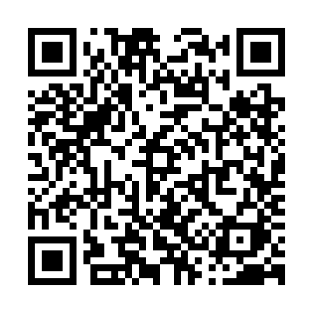 QR code for P333JI