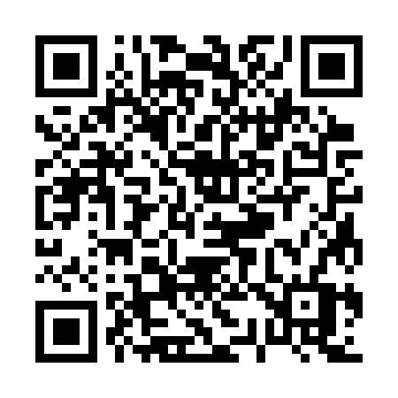 QR code for P333ZV