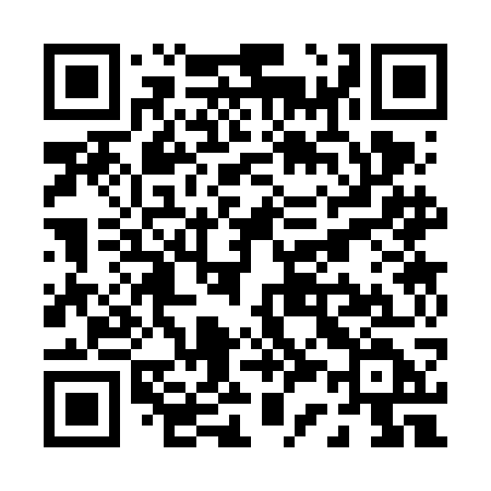 QR code for P336GD