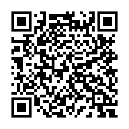 QR code for P338XD