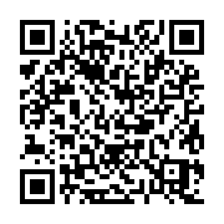 QR code for P339HQ