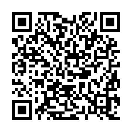 QR code for P339IJ