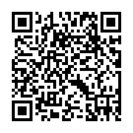 QR code for P339SW