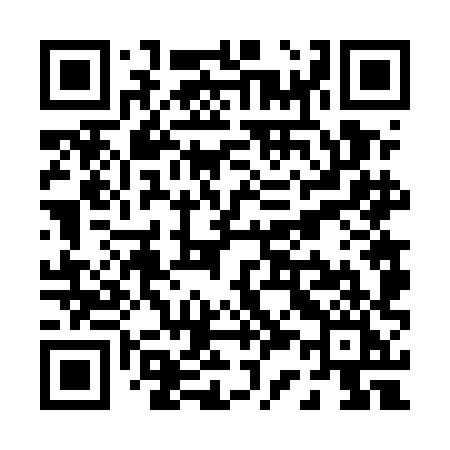QR code for P365HI