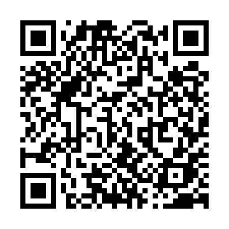 QR code for P375PH