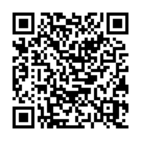 QR code for P378SW