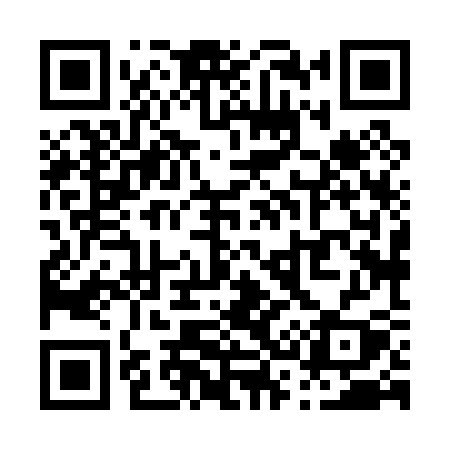 QR code for P3803Y