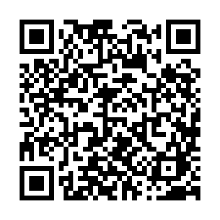 QR code for P381IC