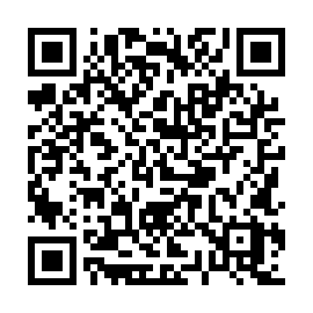 QR code for P381LX