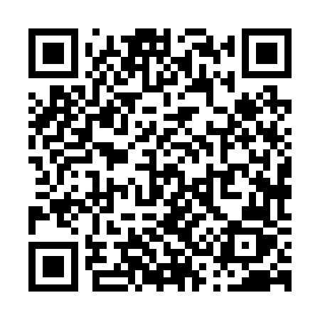 QR code for P3826Z