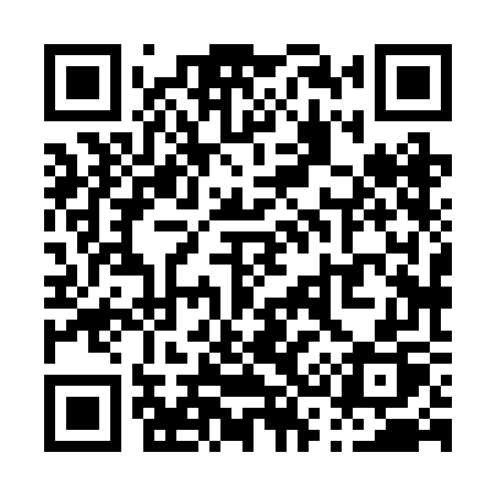 QR code for P382GP