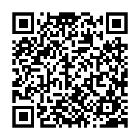 QR code for P382SN