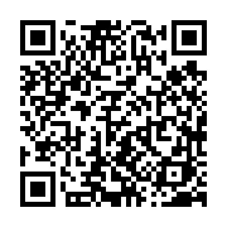 QR code for P3866H