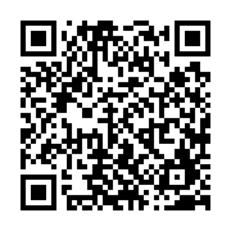 QR code for P3871F