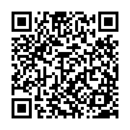 QR code for P38LNM