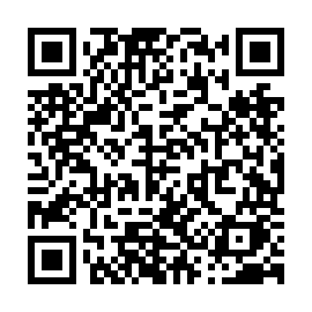 QR code for P38NOK