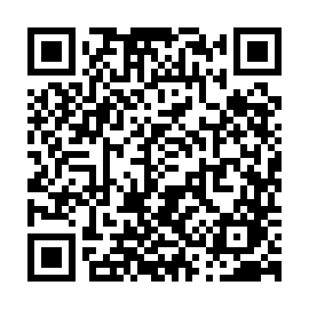 QR code for P391DO