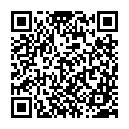 QR code for P393DL