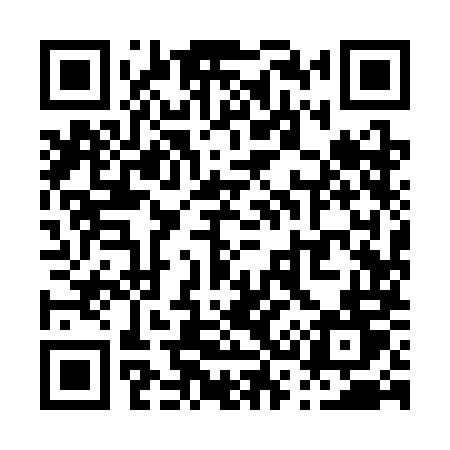 QR code for P393MT