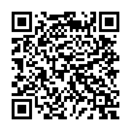 QR code for P394RT