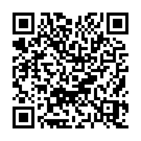 QR code for P398WP