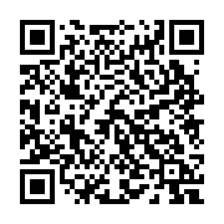 QR code for P4033C