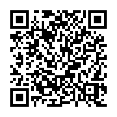 QR code for P40MER