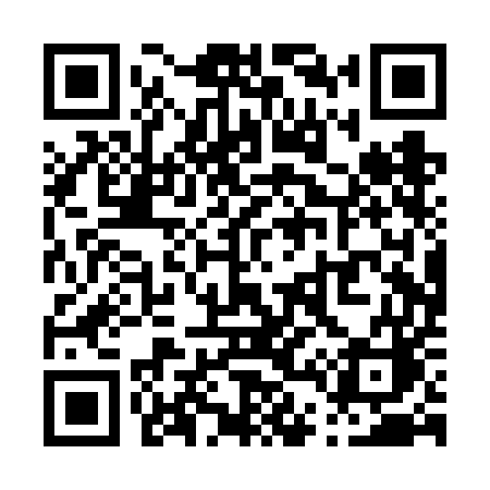 QR code for P40VEC
