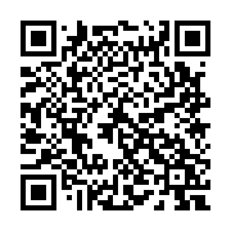 QR code for P4110W