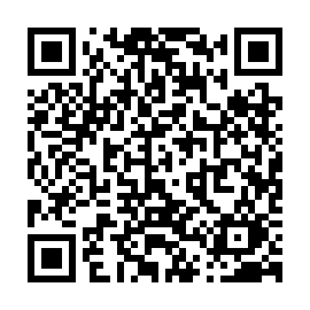 QR code for P413CO