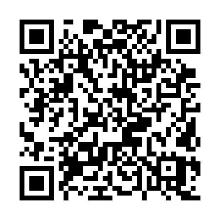 QR code for P413LU
